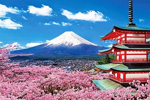 Dịch Vụ Làm Visa Nhật Bản trọn gói 2024