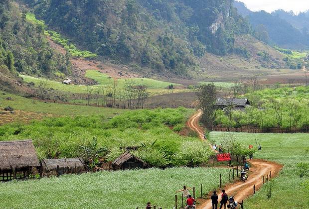 Kinh nghiệm du lịch Mộc Châu