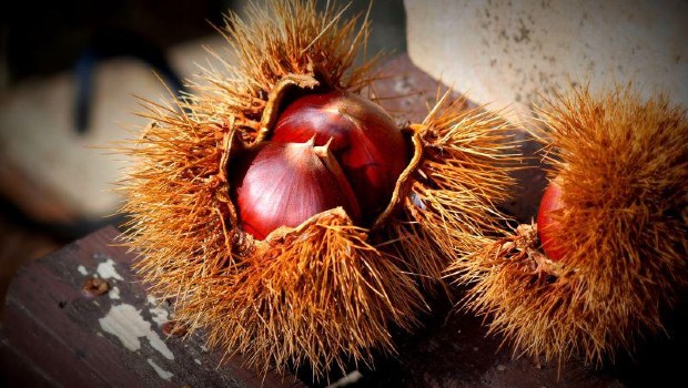 món ăn mùa thu nhật bản