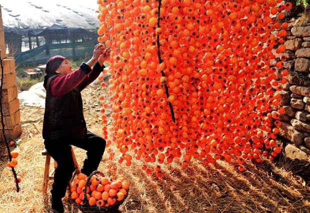 món ăn mùa thu nhật bản