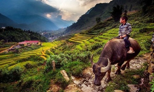 Combo du lịch Sapa