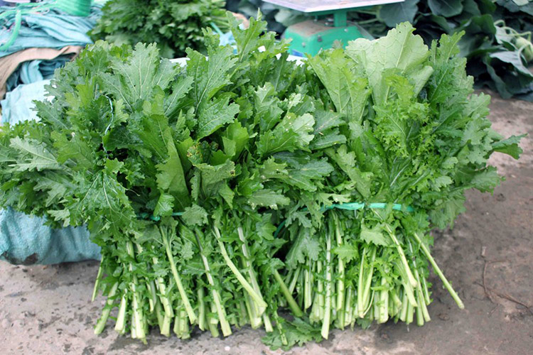 Kinh nghiệm du lịch Mộc Châu