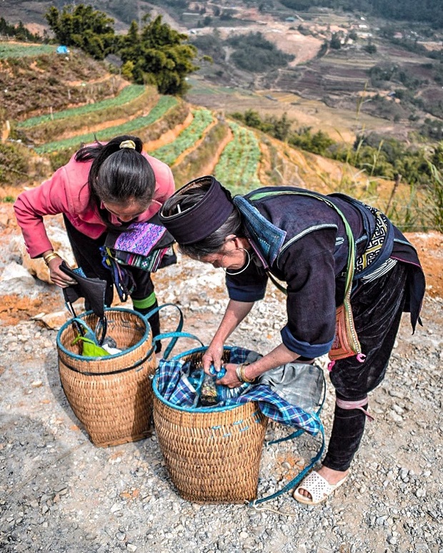 Kinh nghiệm du lịch Tả Phìn