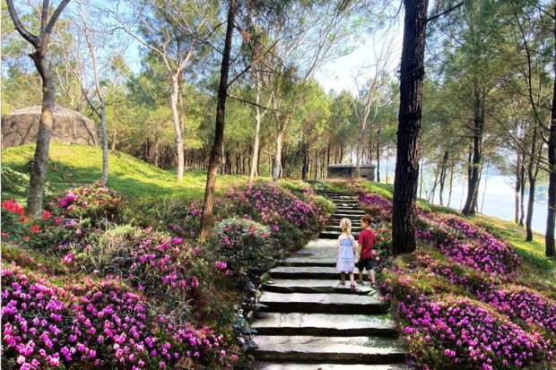 Combo Vé máy bay khứ hồi và Khách sạn Huế - Đồi Vọng Cảnh