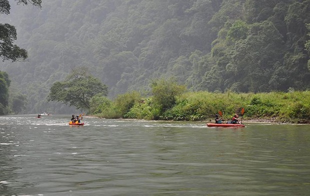 Khu Bảo tồn thiên nhiên Kim Hỷ sở hữu một hệ sinh thái động, thực vật phong phú và đa dạng Địa điểm du lịch Bắc Kạn