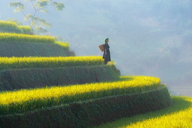 Tổng hợp các địa điểm du lịch Mù Cang Chải đẹp ngất ngây