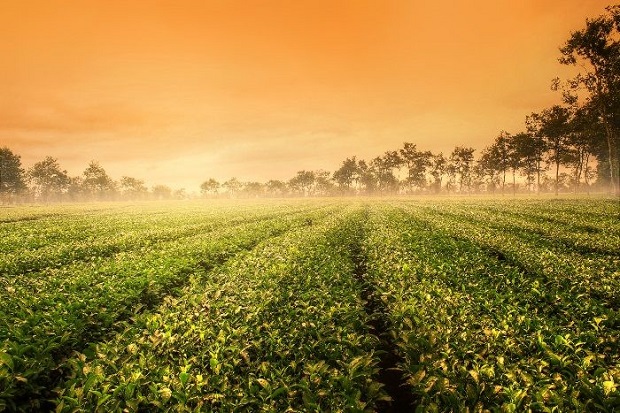 Du lịch Pleiku th&aacute;ng 8