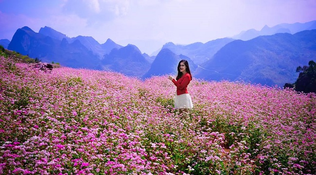 Kinh nghiệm du lịch Mộc Châu