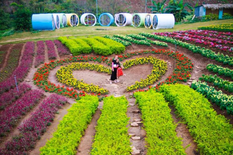 Kinh nghiệm du lịch Mộc Châu