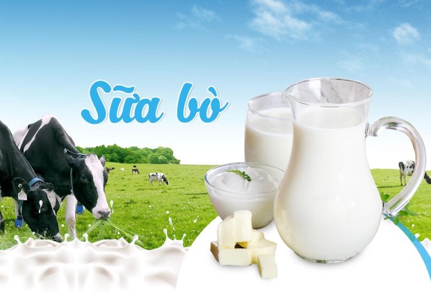 Kinh nghiệm du lịch Mộc Châu