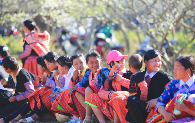 Kinh nghiệm du lịch Mộc Châu