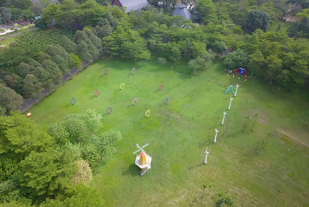 le 29 nen di dau choi tphcm