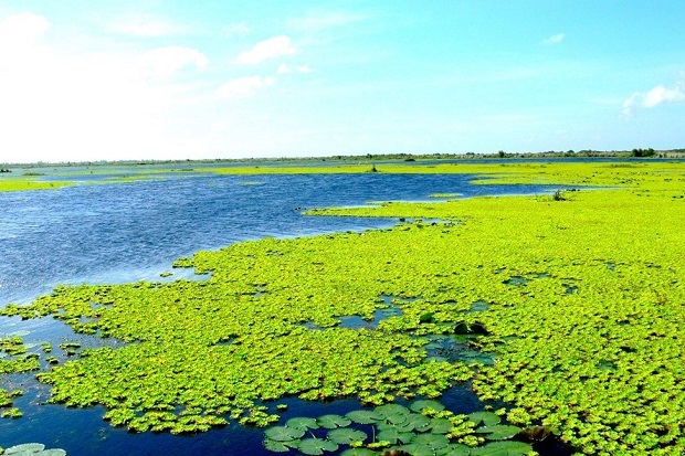 kinh nghiem du lich rung u minh thuong