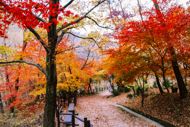 Vườn quốc gia Bukhansan Hàn Quốc