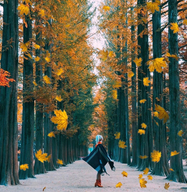 mùa thu đảo Nami