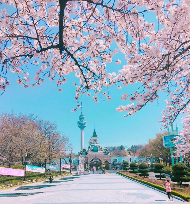 vé máy bay đi Deagu