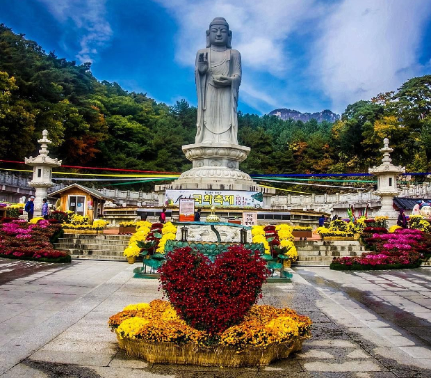 vé máy bay đi Deagu giá rẻ