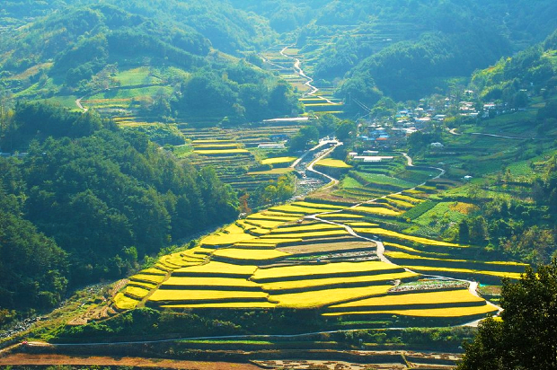 khám phá hàn quốc