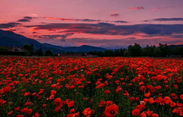 Đặt vé máy bay đi Hàn Quốc giá rẻ