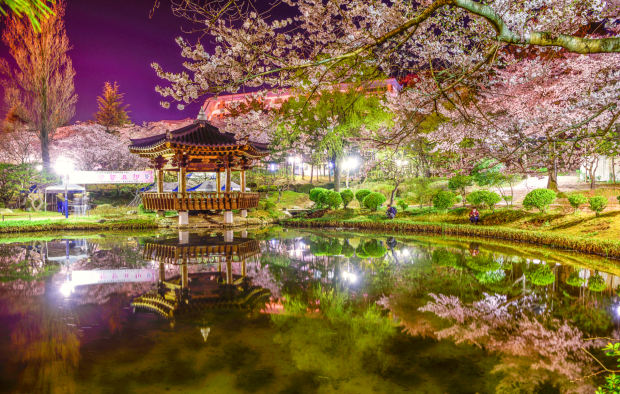 mua vé máy bay giá rẻ đi Hàn Quốc