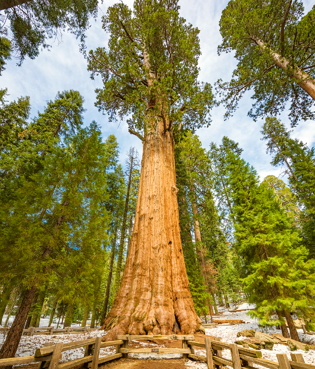 đặt vé máy bay đi Mỹ giá rẻ