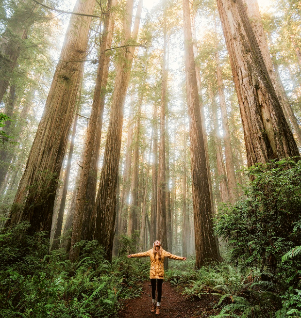 địa điểm du lịch Mỹ