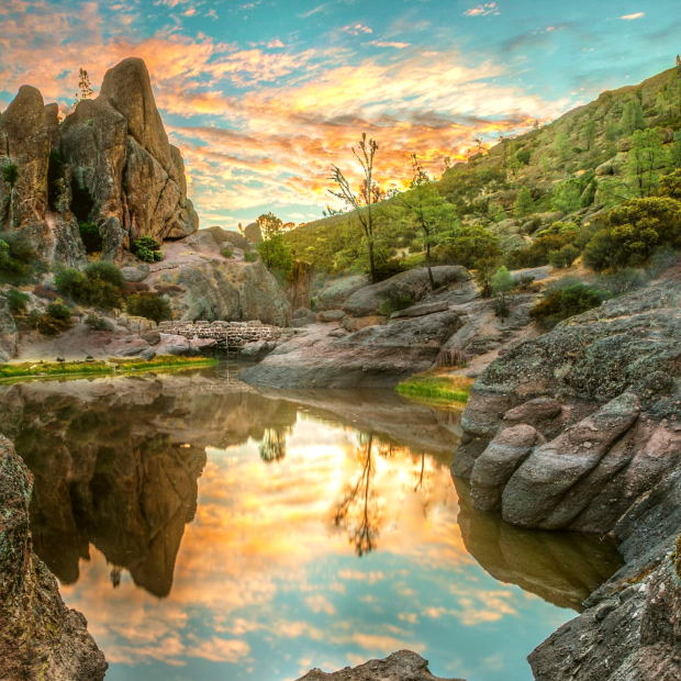 mua vé máy bay Tết giá rẻ