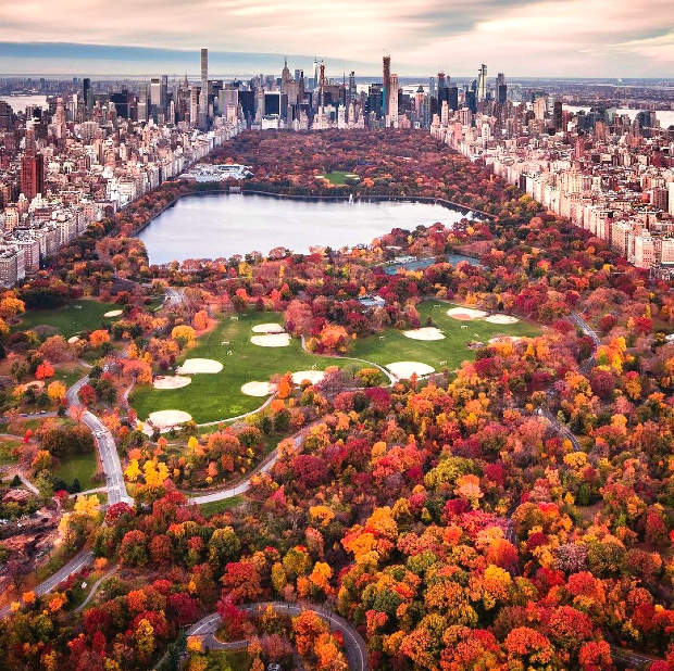 mua vé máy bay đi Mỹ