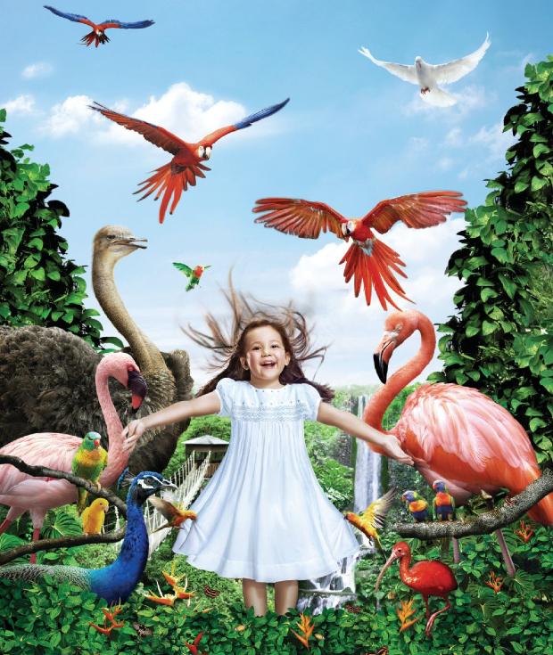 đặt vé máy bay đi Singapore