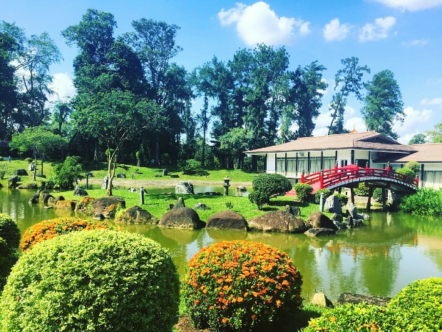 vé máy bay đi Singapore