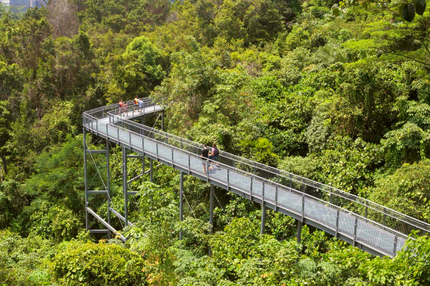 mua vé máy bay giá rẻ đi Singapore