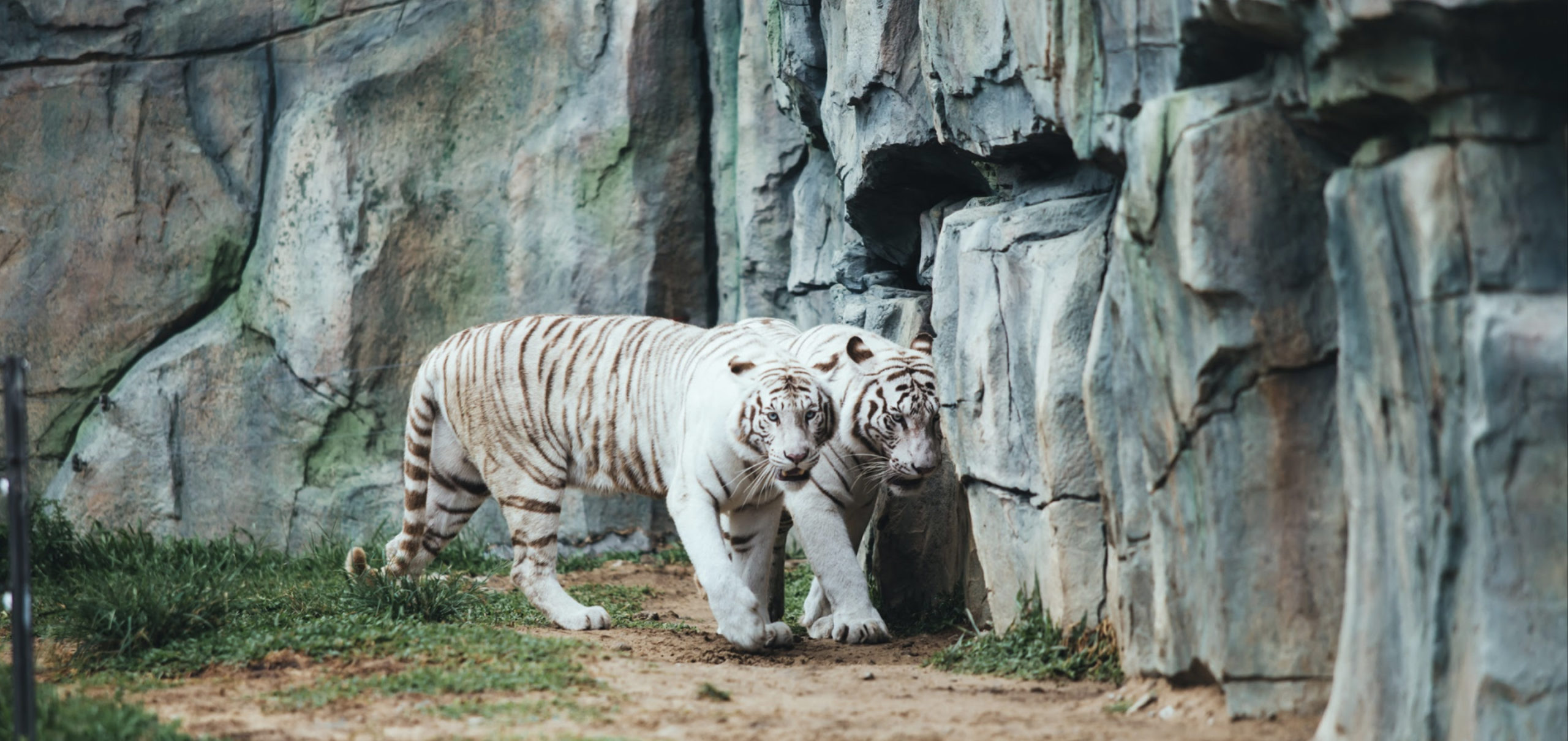 kinh-nghiem-di-vinpearl-hoi-an