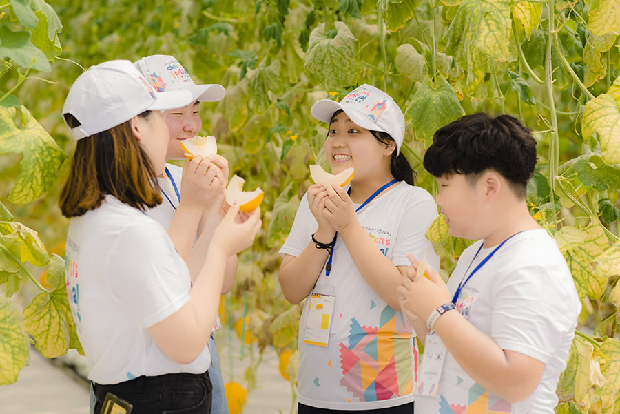 kinh-nghiem-di-vinpearl-hoi-an