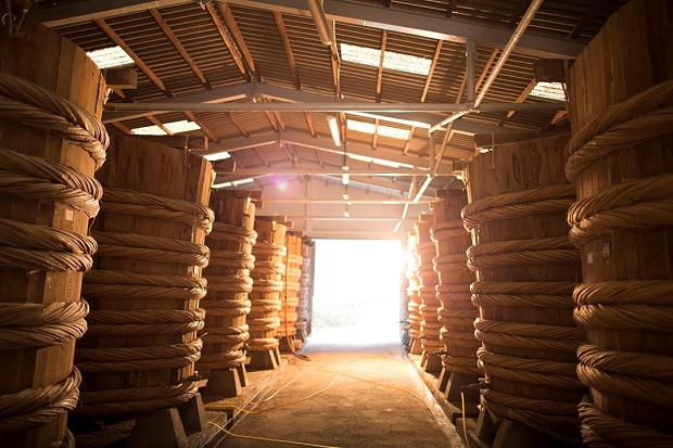 Du lịch Phú Quốc tháng 11