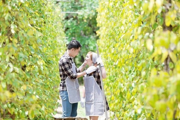 Du lịch Phú Quốc tháng 11