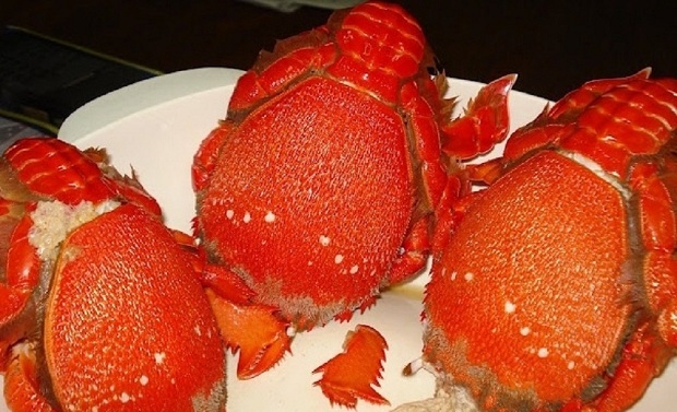 Kinh nghiệm du lịch Lý Sơn