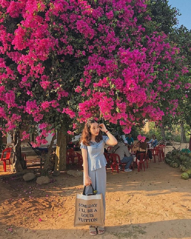 Kinh nghiệm du lịch Lý Sơn