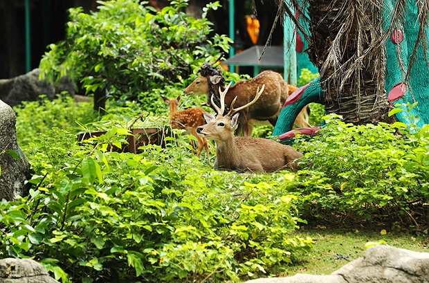 Khu du lịch Đại Nam