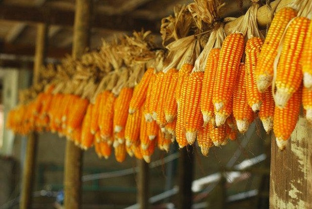 kinh nghiệm du lịch Sapa tháng 12