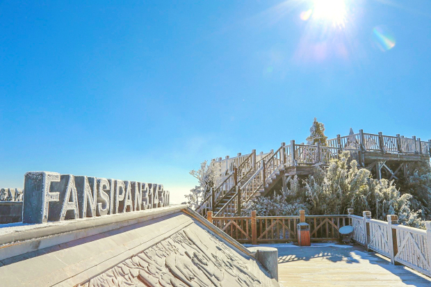 tét đi đâu chơi