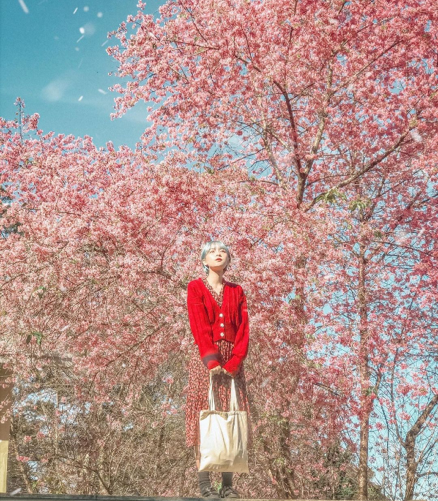 vé máy bay Tết đi Đà Lạt