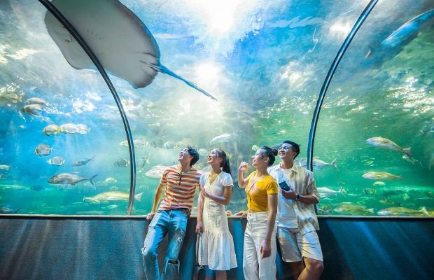 Tết Dương lịch H&agrave; Nội c&oacute; g&igrave; - thủy cung tại H&agrave; Nội