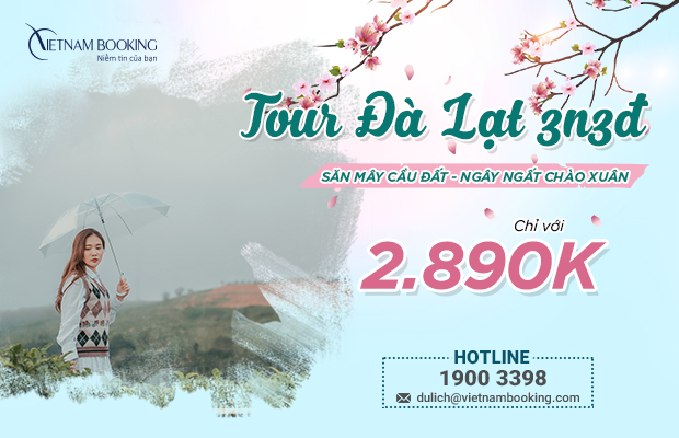 Thời tiết Sapa Tết Dương lịch 2023 thế n&agrave;o - Tour Đ&agrave; Lạt