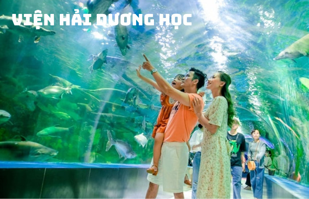 Tour Tết Nha Trang Vinwonders 4N3Đ, ngắm san hô, thưởng thức tiệc bar nổi