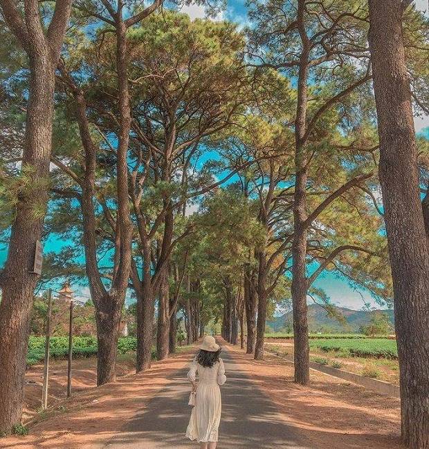 Địa điểm du lịch Pleiku