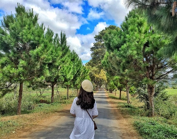 Địa điểm du lịch Pleiku