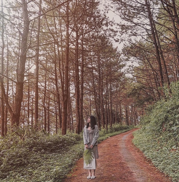 Địa điểm du lịch Pleiku