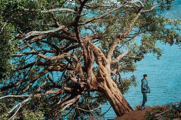 Địa điểm du lịch Tây Nguyên