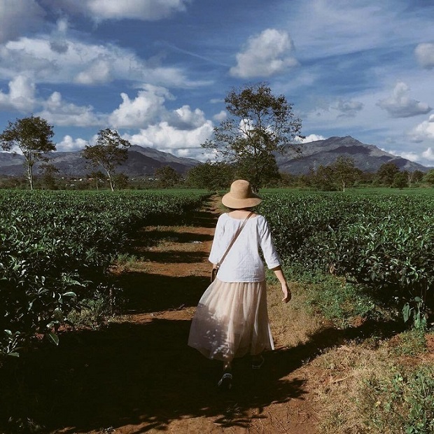 Địa điểm du lịch Tây Nguyên