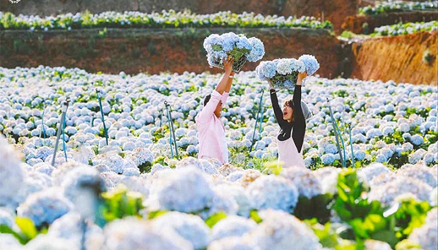 Địa điểm du lịch Tây Nguyên